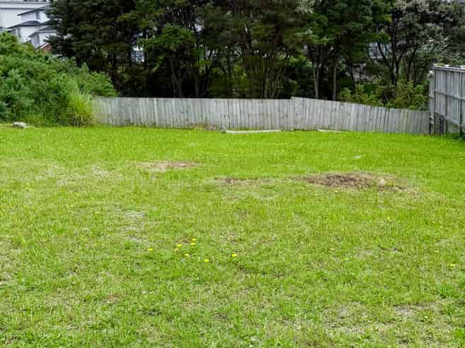 3 Carnell Lane, Pinehill