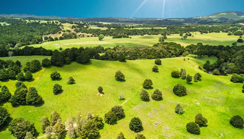 509B Mataraua Road, Kaikohe