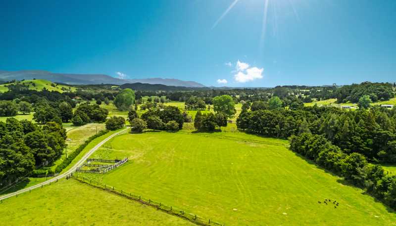 509B Mataraua Road, Kaikohe