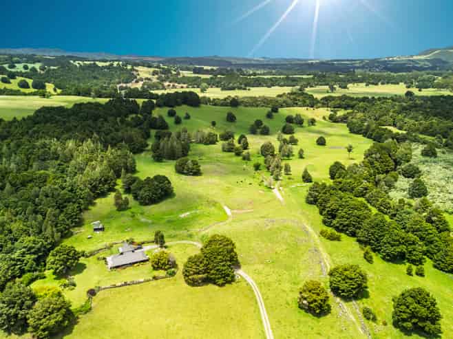 509B Mataraua Road, Kaikohe