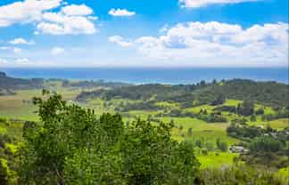 85 Tiro Lane, Pakiri