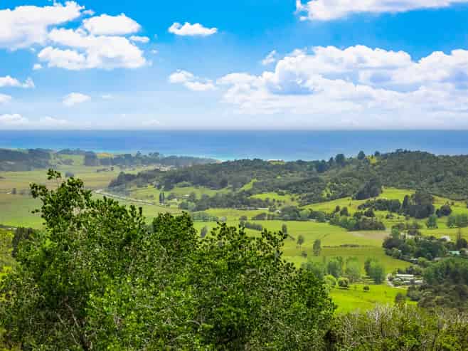 85 Tiro Lane, Pakiri