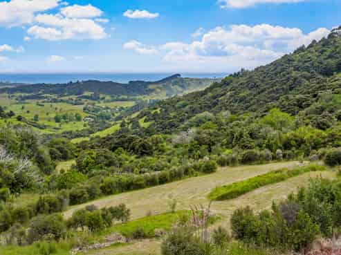 85 Tiro Lane, Pakiri
