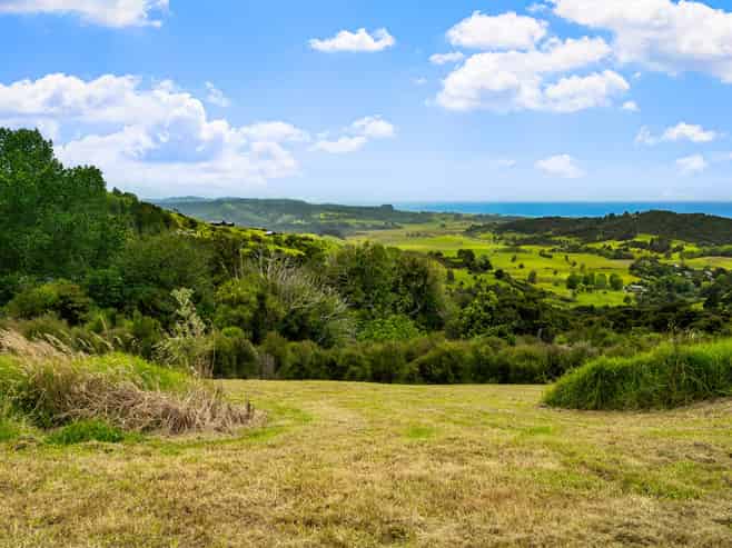 85 Tiro Lane, Pakiri