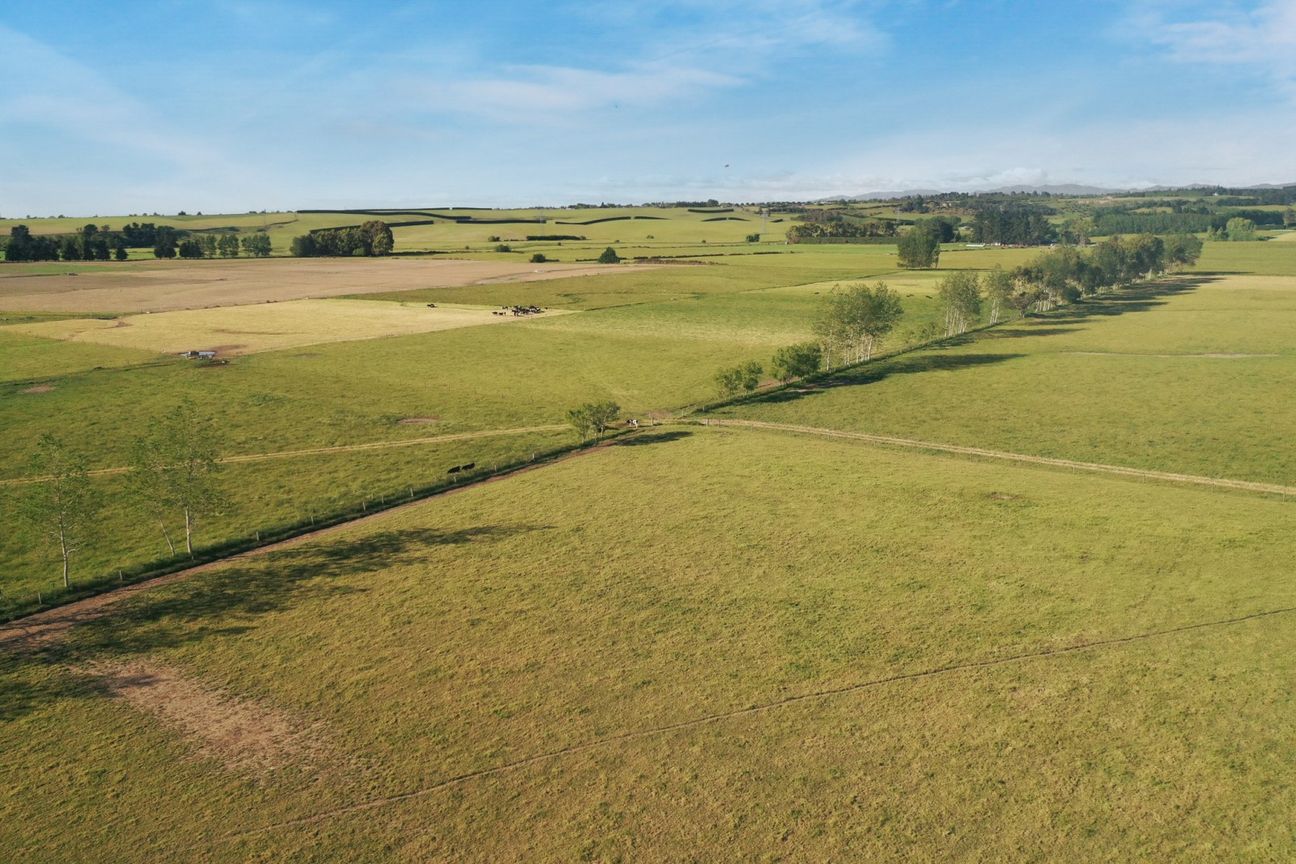 Prime bare land - Outstanding location - View 6
