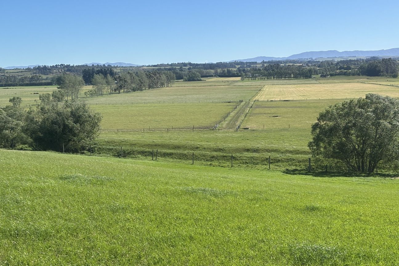 Prime bare land - Outstanding location - View 2