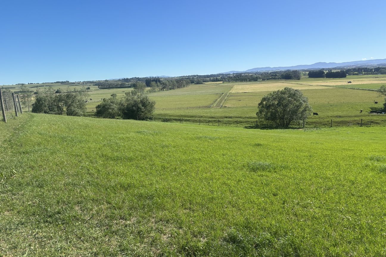 Prime bare land - Outstanding location - View 3