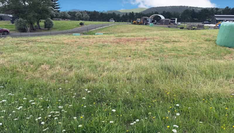 59 Kai Iwi Lakes Road, Dargaville