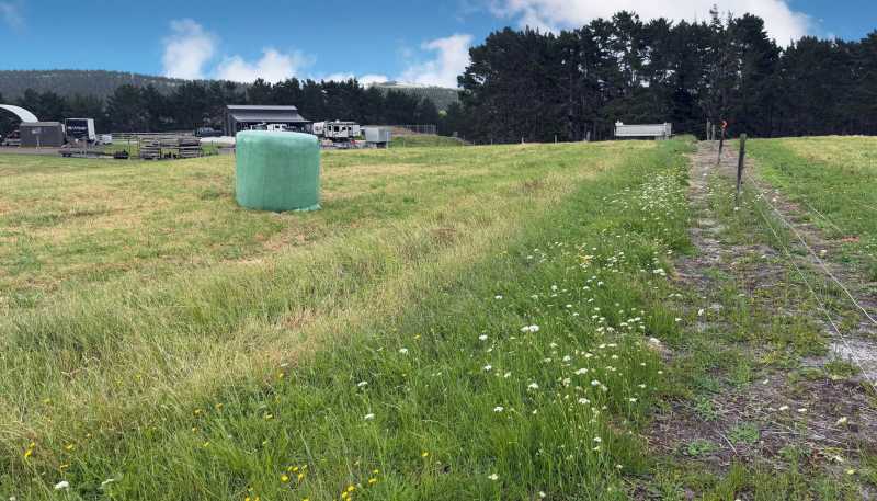 59 Kai Iwi Lakes Road, Dargaville