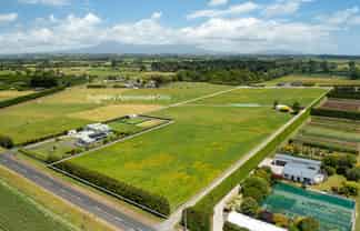 202 Kairau Road East, Brixton