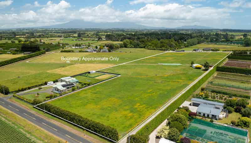 202 Kairau Road East, Brixton