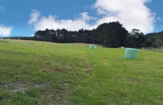 75 Kai Iwi Lakes Road, Dargaville