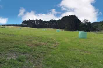 75 Kai Iwi Lakes Road, Dargaville