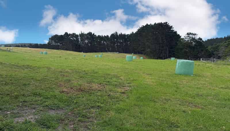 75 Kai Iwi Lakes Road, Dargaville