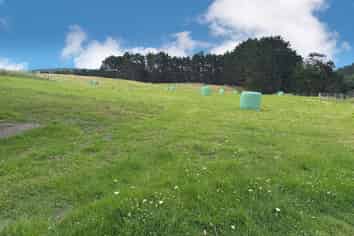 75 Kai Iwi Lakes Road, Dargaville