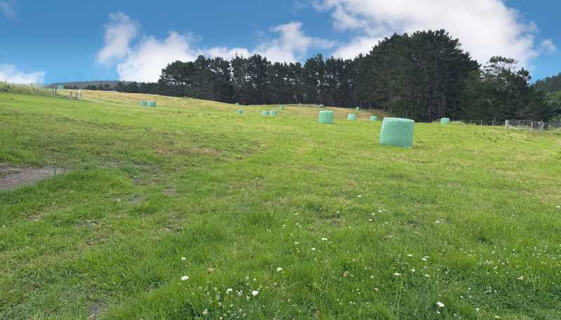 75 Kai Iwi Lakes Road, Dargaville