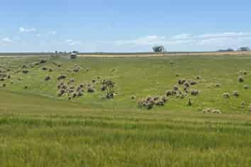 Lot 5 Hook School Road, Makikihi