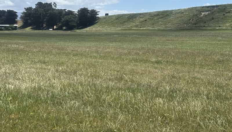 Lot 5 Hook School Road, Makikihi