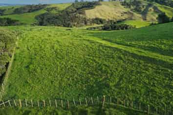 511 Fordyce Road, Helensville
