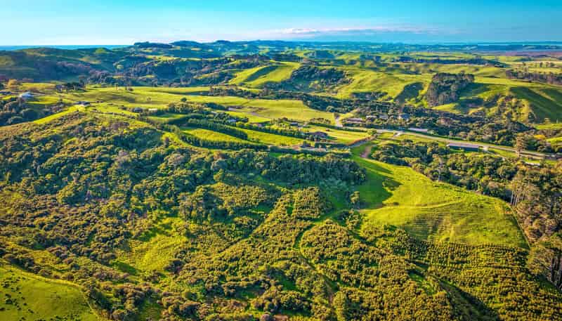 LOTS 1 / 2 BEING A SUBDIVISION OF LOT 4 DP 487154 Fordy, Helensville