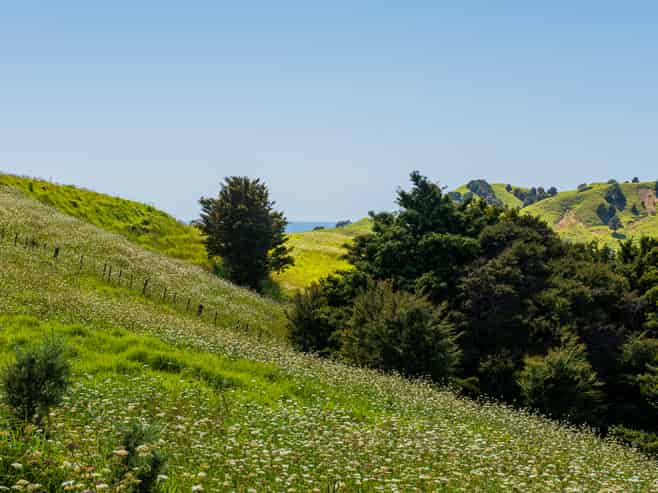  Hailes Road, Whananaki