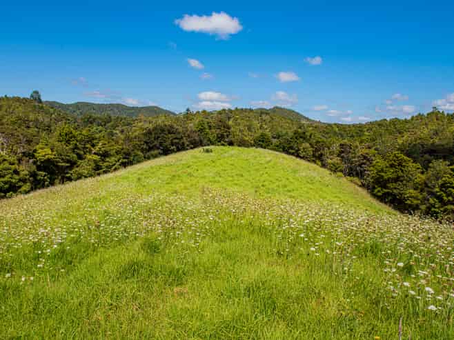  Hailes Road, Whananaki