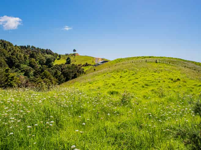  Hailes Road, Whananaki