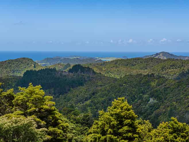 1403 Russell Road, Helena Bay