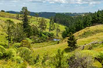 1403 Russell Road, Helena Bay