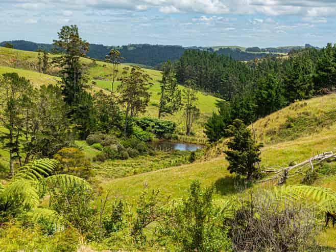 1403 Russell Road, Helena Bay