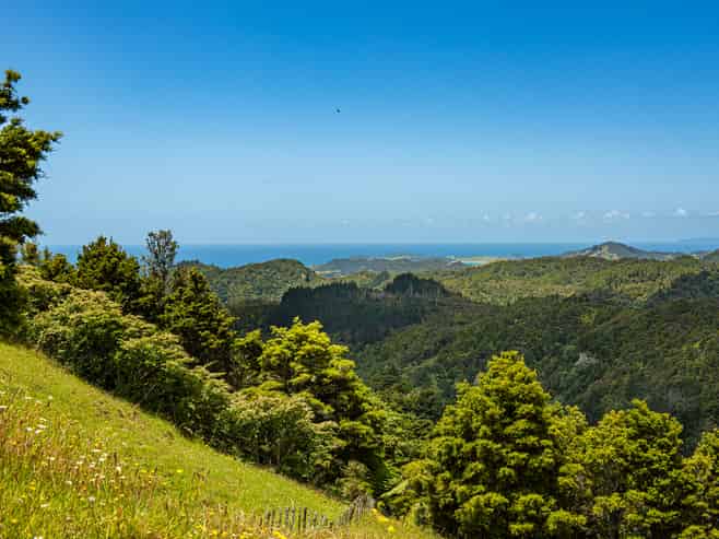 1403 Russell Road, Helena Bay