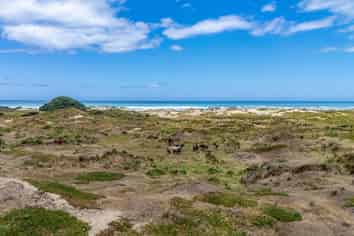 Lots 1-3 Hukatere Road, Pukenui