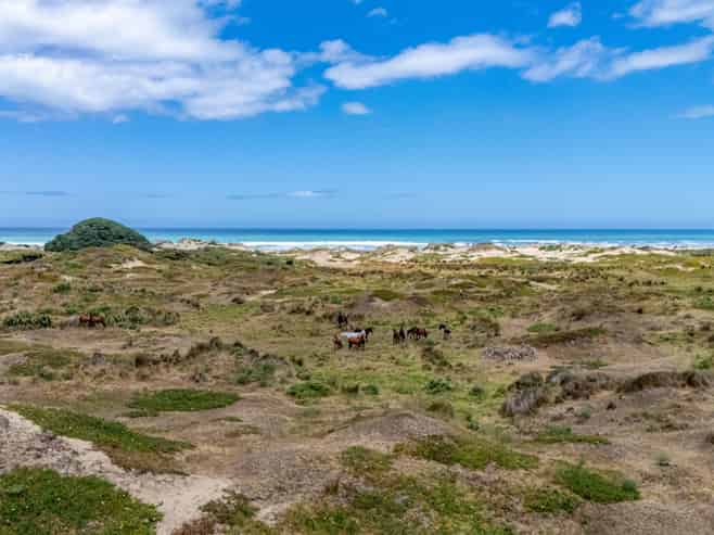 Lots 1-3 Hukatere Road, Pukenui