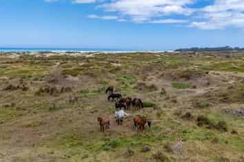 Lots 1-3 Hukatere Road, Pukenui