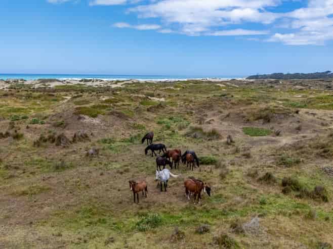 Lots 1-3 Hukatere Road, Pukenui