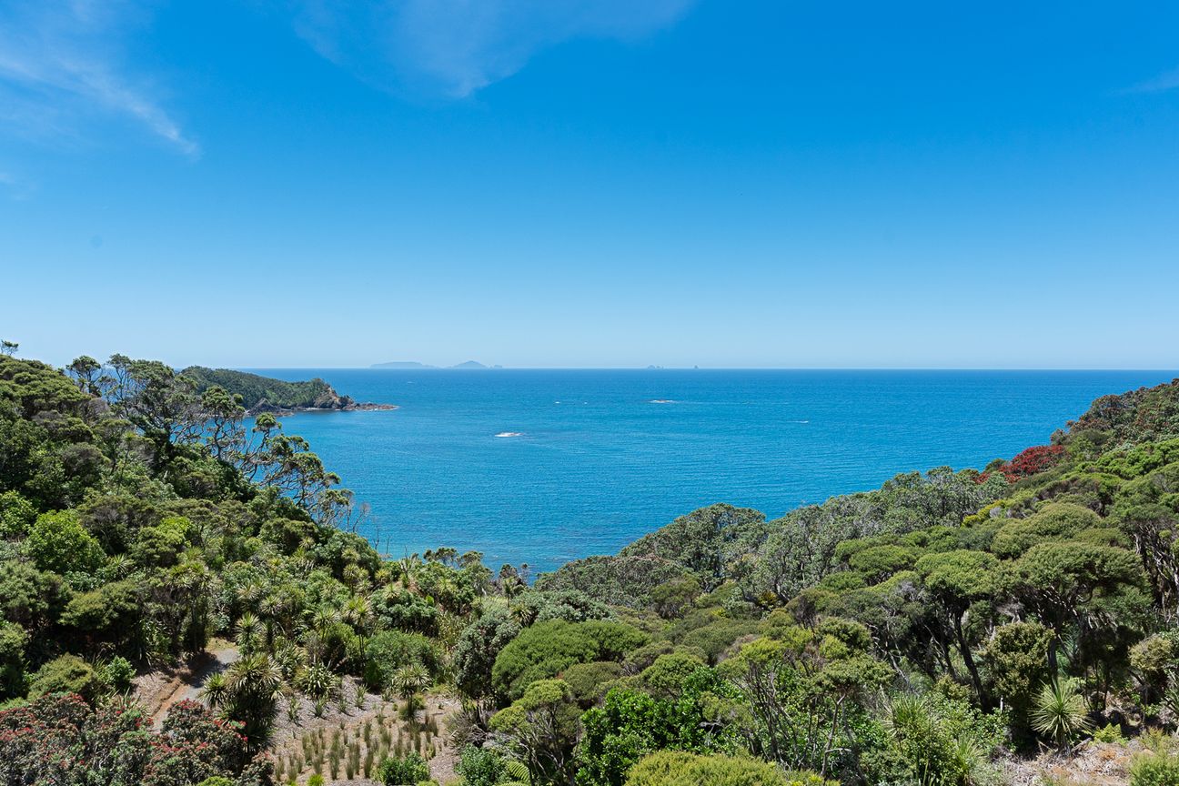 Prestige Among the Pohutukawa - Tutukaka Coast - Widok 3