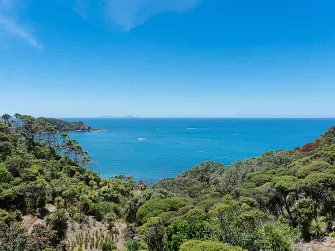 50 Dolphin Place, Tutukaka