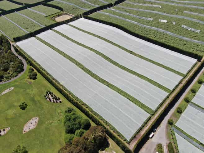 80 Roydon Downs Road, Paengaroa