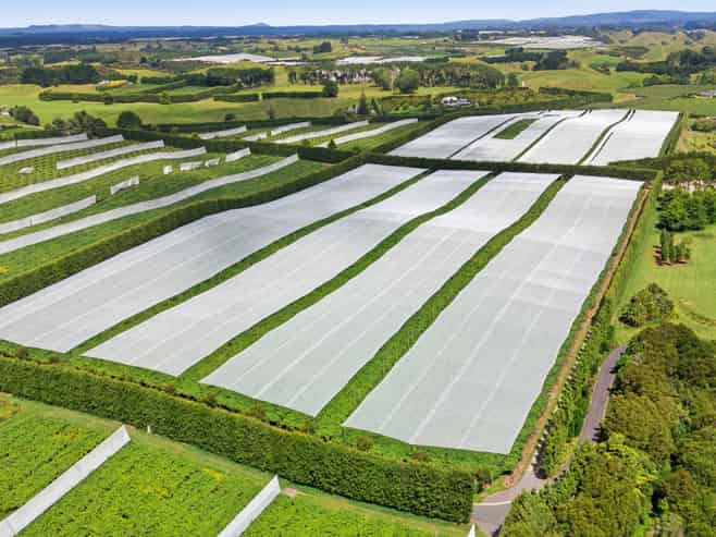 80 Roydon Downs Road, Paengaroa