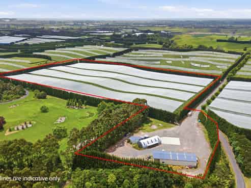 80 Roydon Downs Road, Paengaroa