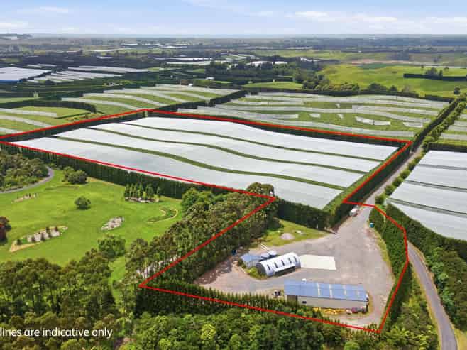 80 Roydon Downs Road, Paengaroa