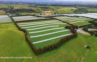 80 Roydon Downs Road, Paengaroa