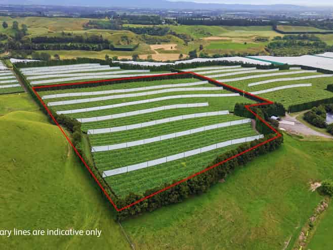 80 Roydon Downs Road, Paengaroa