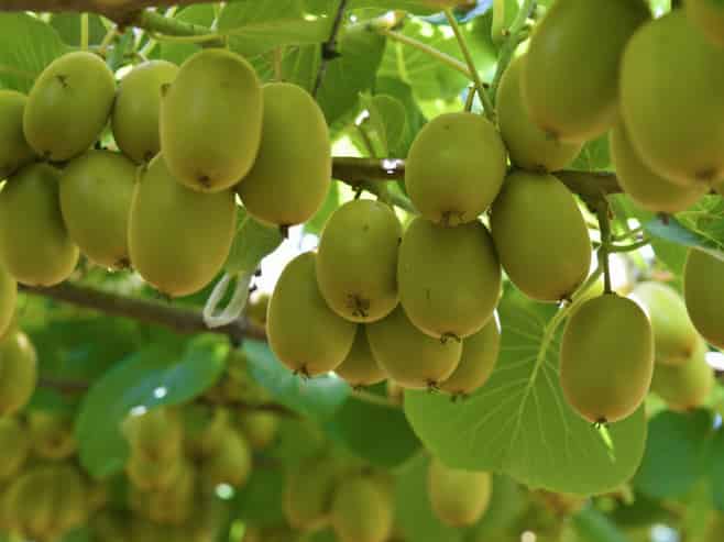 80 Roydon Downs Road, Paengaroa