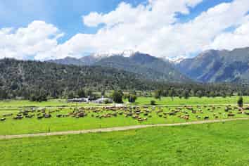 1627 Whataroa Highway, Whataroa