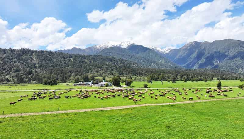 1627 Whataroa Highway, Whataroa