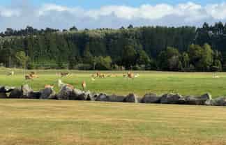 18 Meadowlinks Lane, Pleasant Point