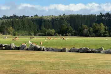 18 Meadowlinks Lane, Pleasant Point