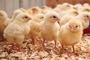 120A Wilson Road, Hunua