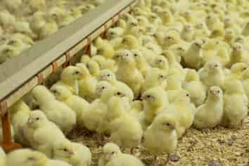 120A Wilson Road, Hunua